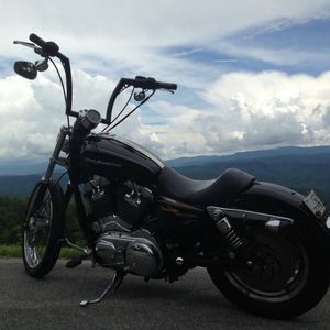 Meet your Posher, Joey